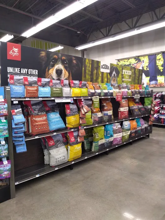 Petco Picture 4
