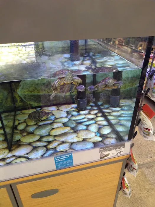 Petco Picture 1