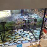 Petco