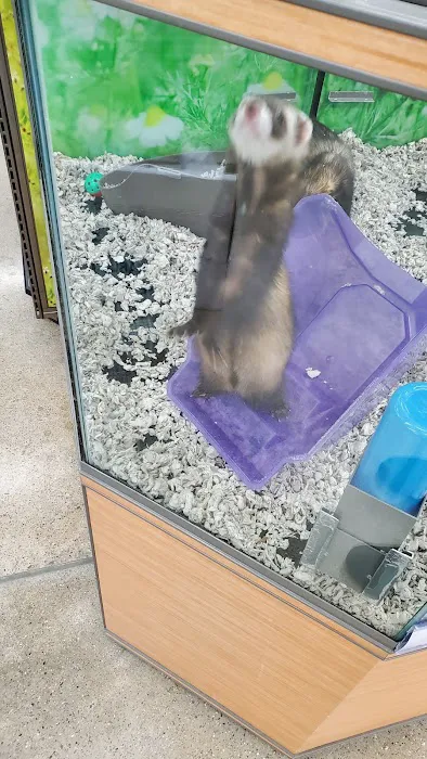 Petco Picture 2
