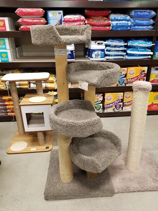 Premier Pet Supply Picture 3