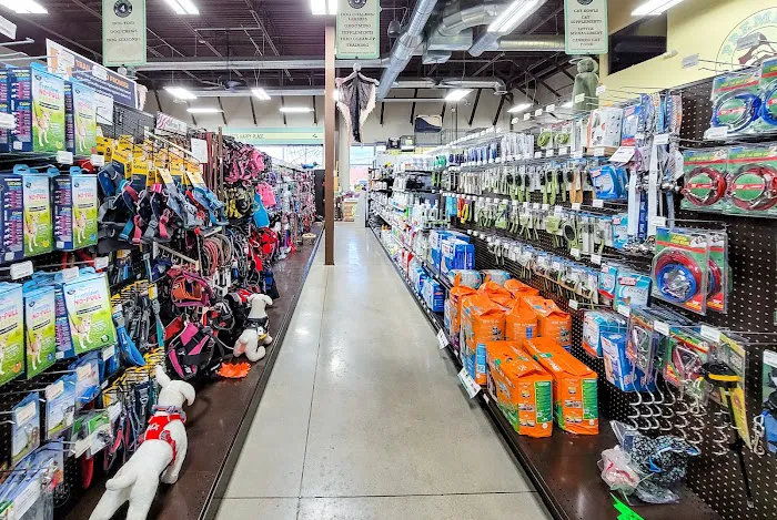 Premier Pet Supply Picture 8