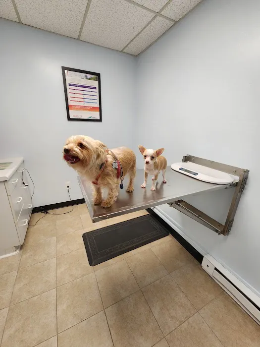Ridge Road Animal Hospital Picture 2
