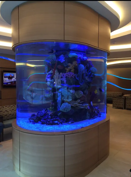 Aquarium Shine Picture 6