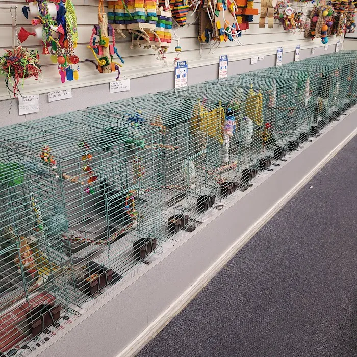 Chirping Friends Pets Picture 7