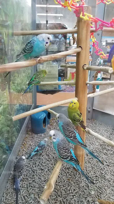 Petco Picture 1