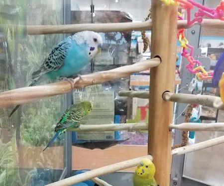 Petco