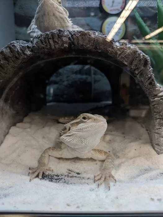 Petco Picture 10