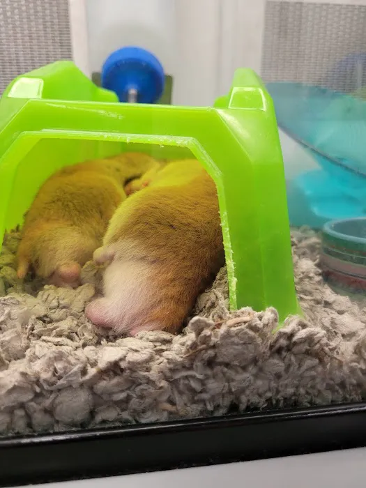 Petco Picture 3