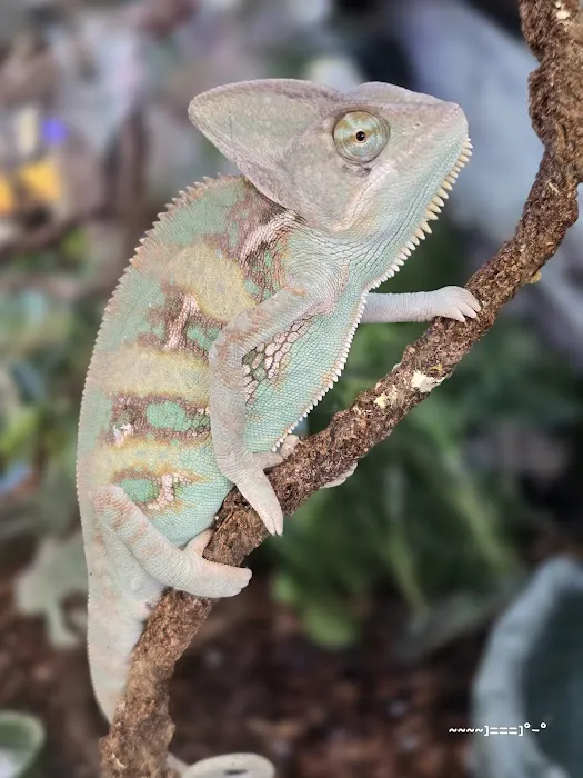 Petco Picture 7