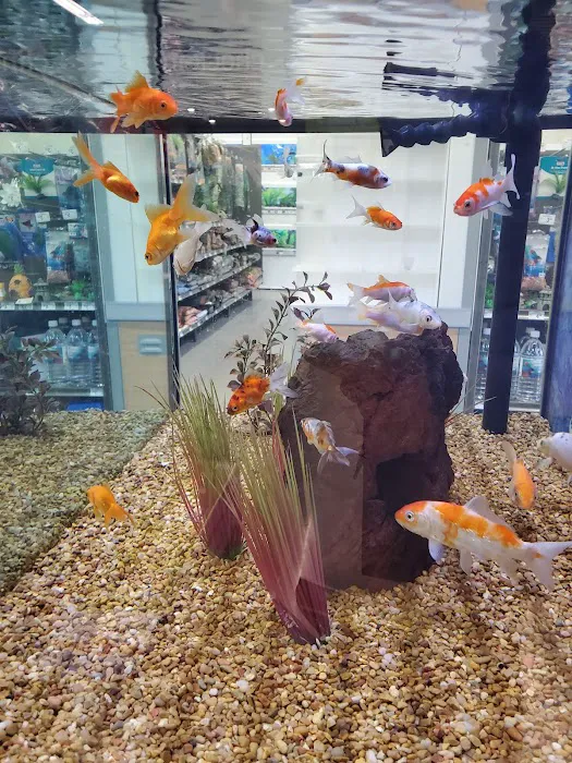 Petco Picture 9