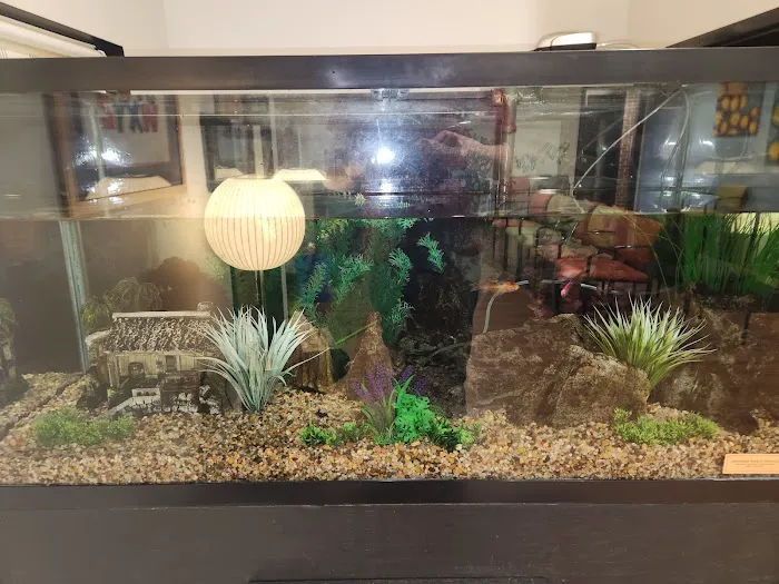 Michigan Aquarium Services Picture 1