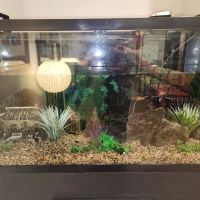 Michigan Aquarium Services ico