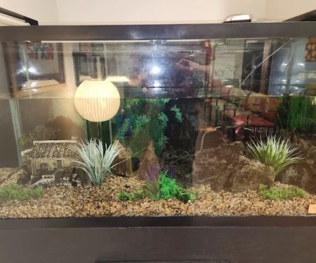 Michigan Aquarium Services