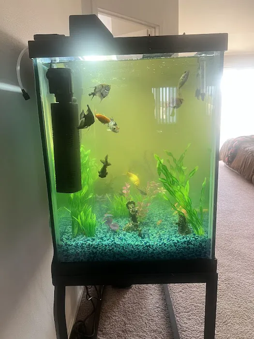 Michigan Aquarium Services Picture 6