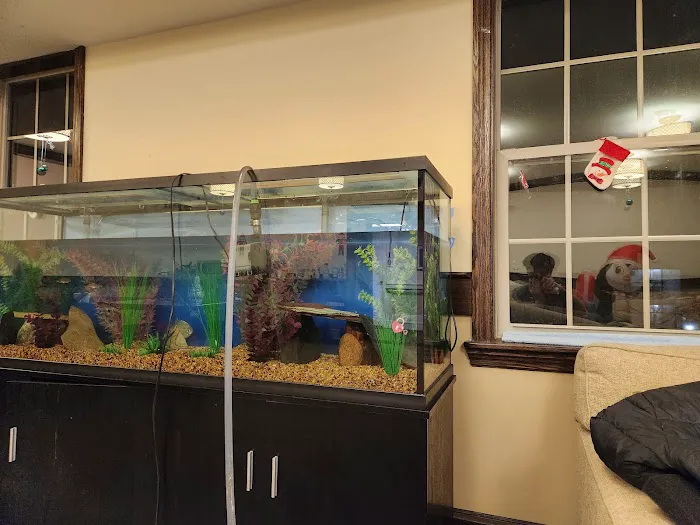 Michigan Aquarium Services Picture 2