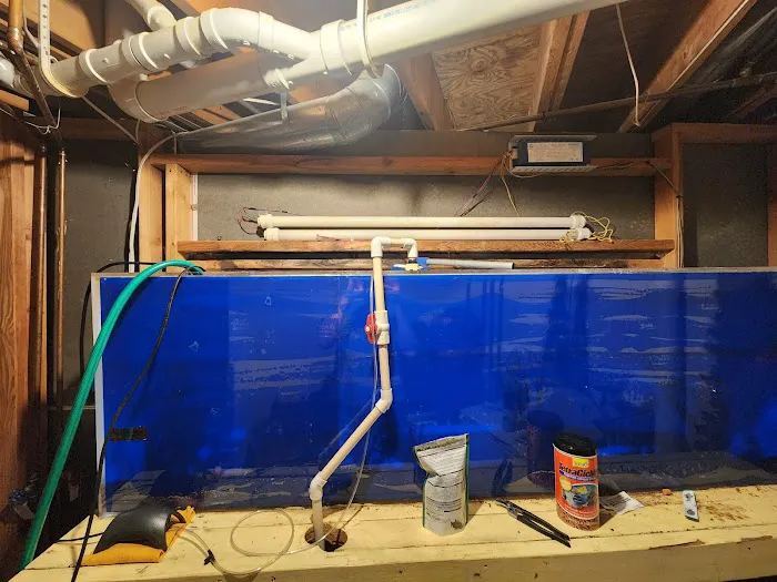 Michigan Aquarium Services Picture 4