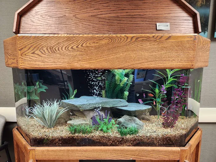 Michigan Aquarium Services Picture 7