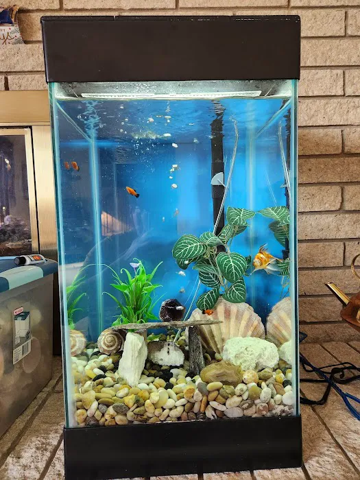 Michigan Aquarium Services Picture 10