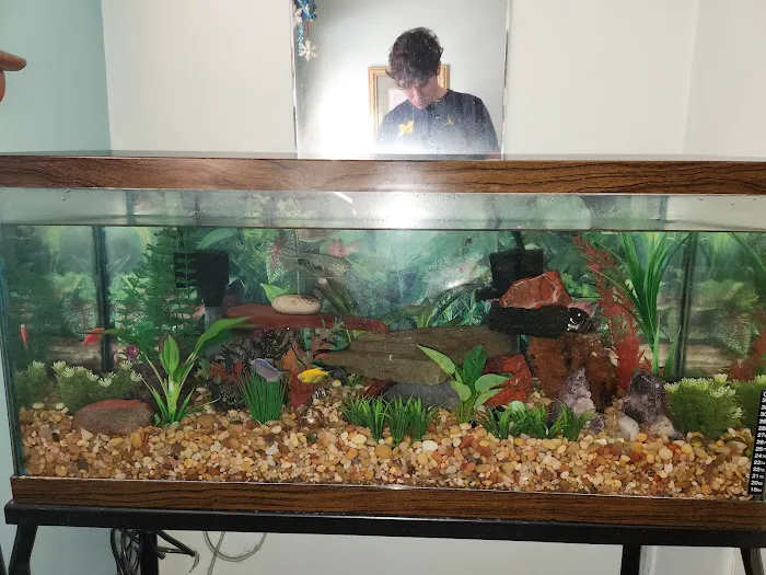 Michigan Aquarium Services Picture 8