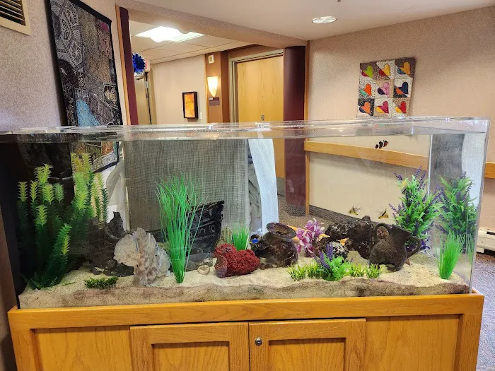 Michigan Aquarium Services Picture 3