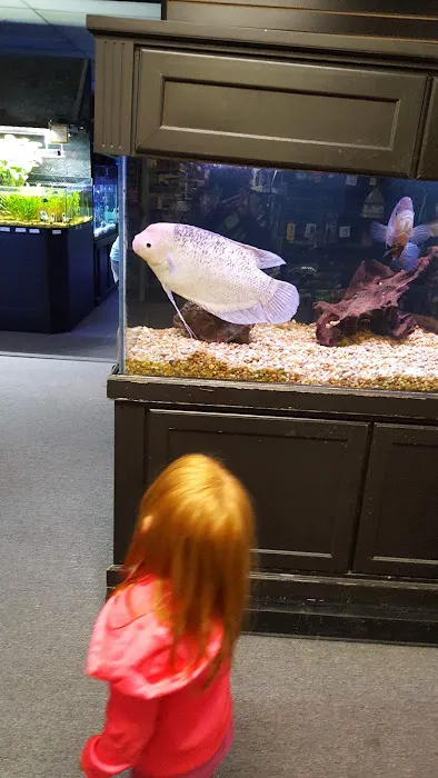 Kee's Aquarium & Pets Picture 5