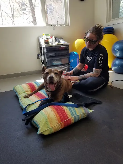Valley Animal Hospital Picture 1