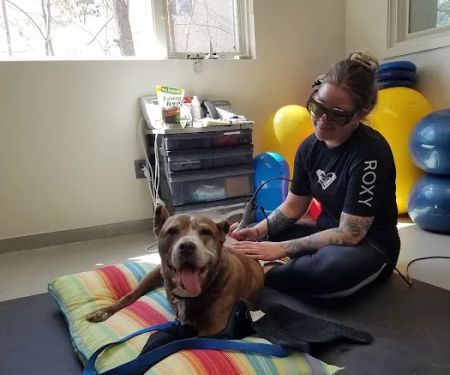 Valley Animal Hospital
