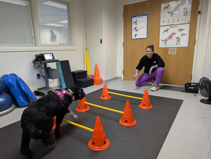 Valley Animal Hospital Picture 9