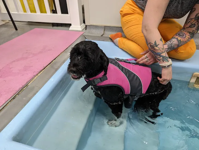 Valley Animal Hospital Picture 8