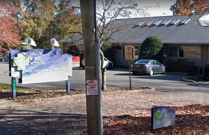 Valley Animal Hospital Picture 10