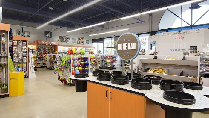 Premier Pet Supply Picture 3