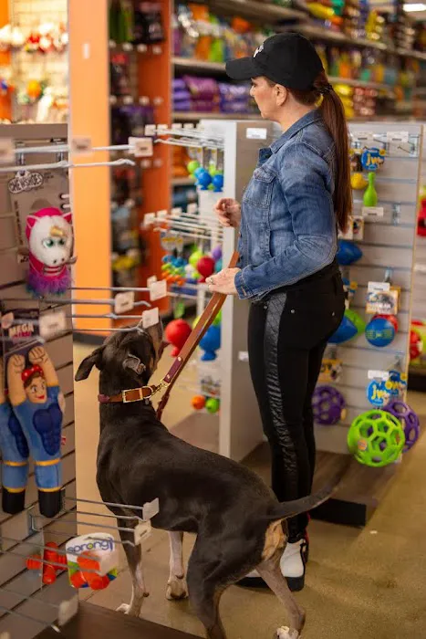 Premier Pet Supply Picture 5