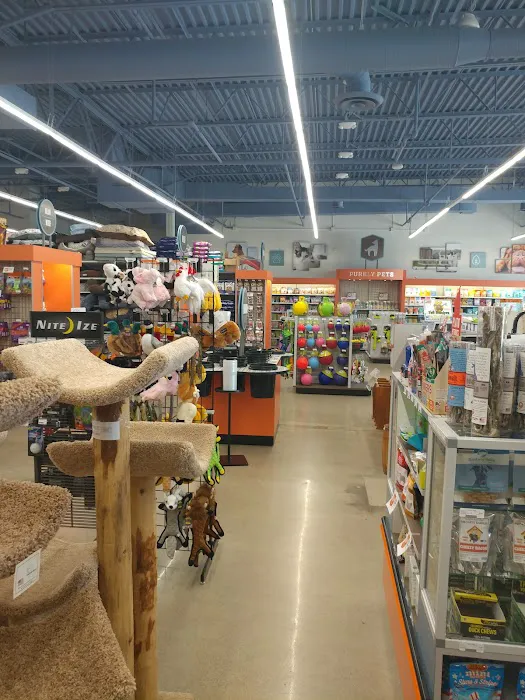 Premier Pet Supply Picture 1
