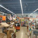 Premier Pet Supply
