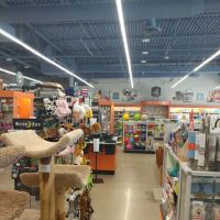 Premier Pet Supply ico