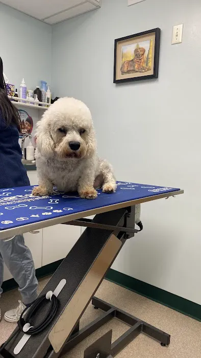 North Haledon Veterinary Care Picture 4