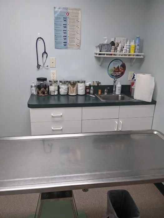 North Haledon Veterinary Care Picture 3