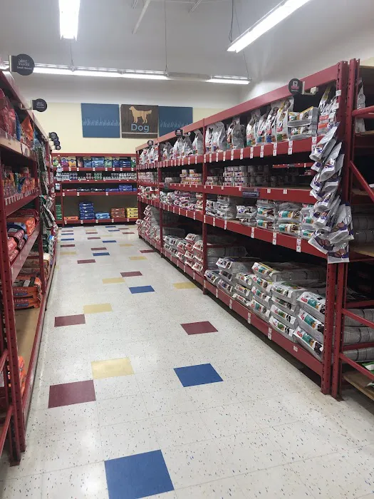 Petco Picture 6