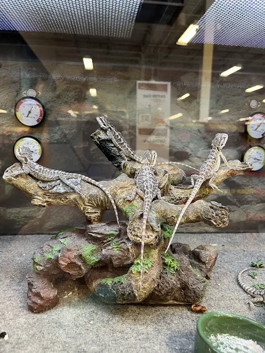 Petco Picture 1