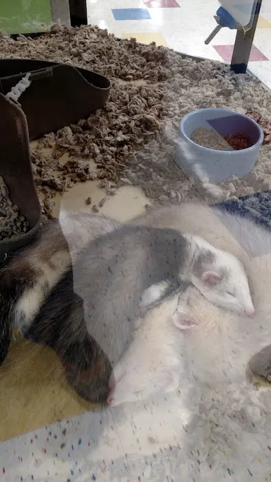 Petco Picture 2