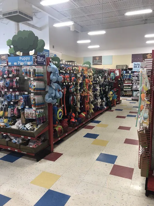 Petco Picture 8