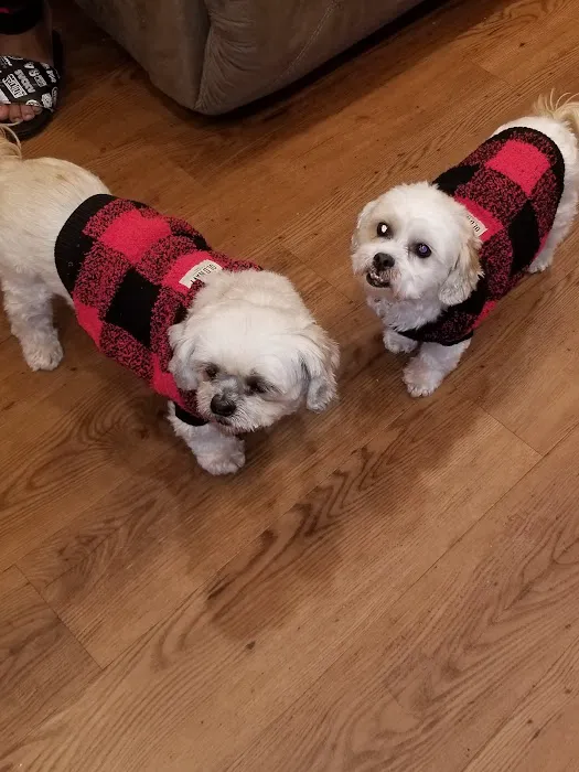 Sayrebrook Veterinary Hospital Picture 4