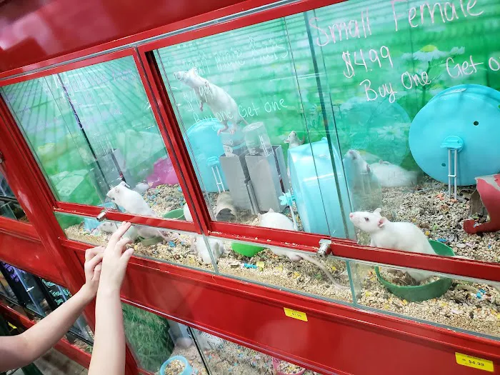Magoo's Pet Outlet Picture 9