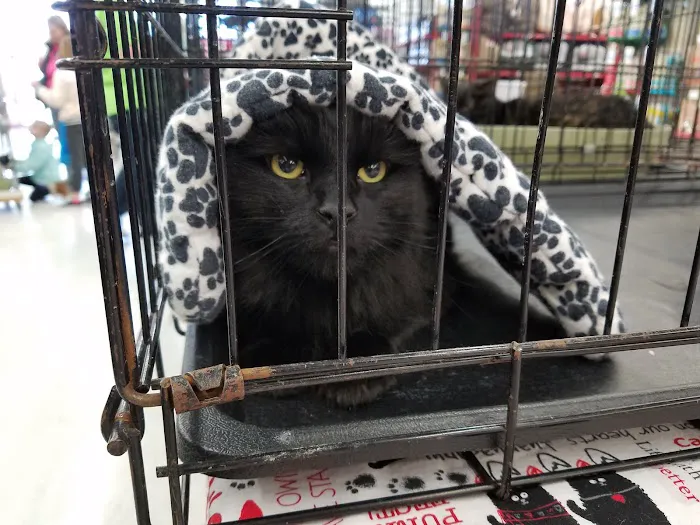 Petco Picture 10