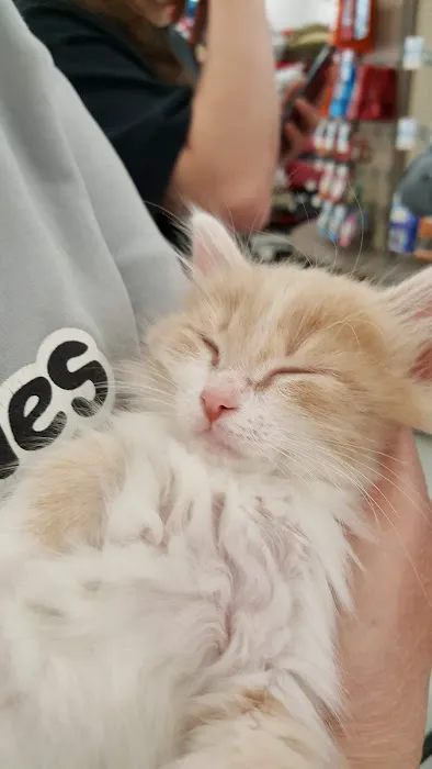 Petco Picture 8