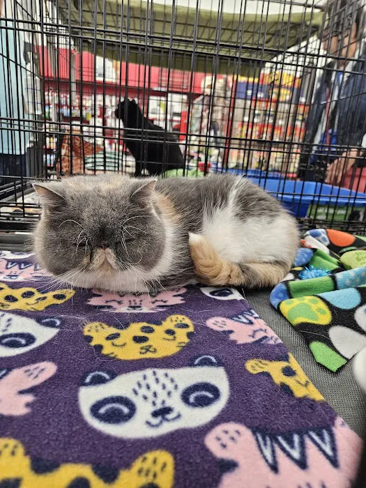 Petco Picture 7