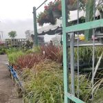 Harvest Time Farm Market