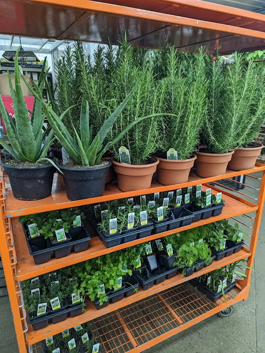 Harvest Time Farm Market Picture 7