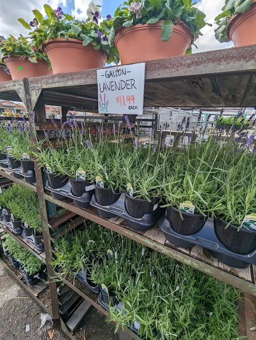 Harvest Time Farm Market Picture 6